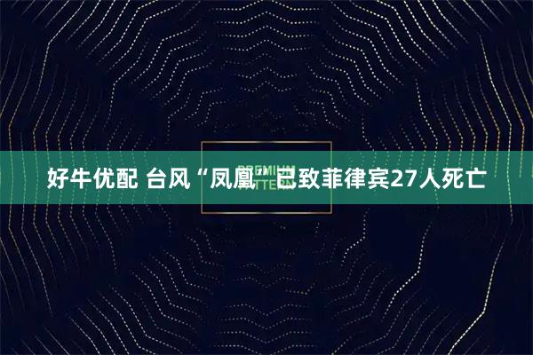 好牛优配 台风“凤凰”已致菲律宾27人死亡