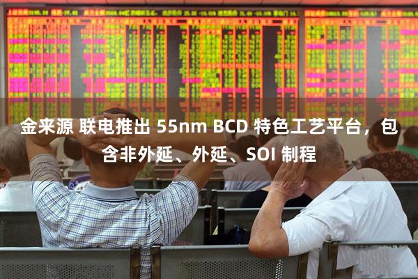 金来源 联电推出 55nm BCD 特色工艺平台，包含非外延、外延、SOI 制程