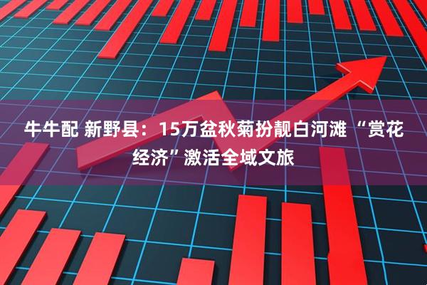 牛牛配 新野县：15万盆秋菊扮靓白河滩 “赏花经济”激活全域文旅