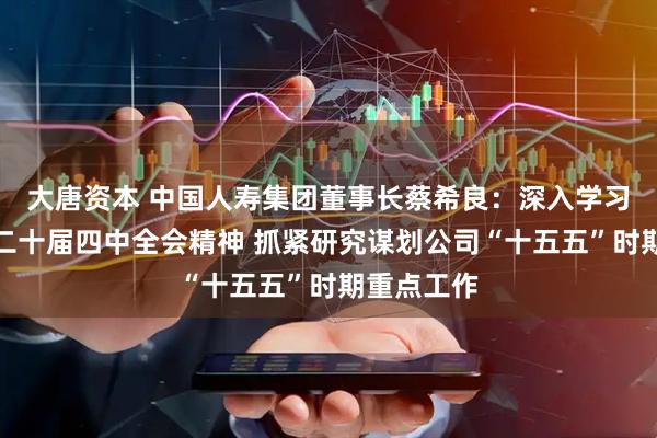 大唐资本 中国人寿集团董事长蔡希良：深入学习贯彻党的二十届四中全会精神 抓紧研究谋划公司“十五五”时期重点工作