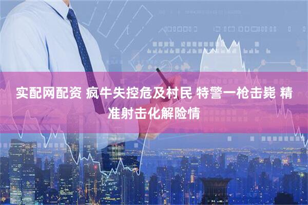 实配网配资 疯牛失控危及村民 特警一枪击毙 精准射击化解险情