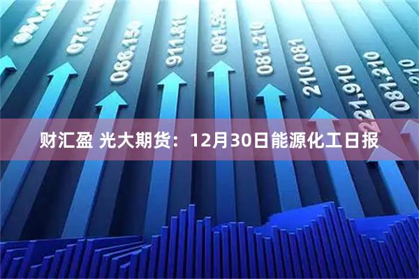 财汇盈 光大期货：12月30日能源化工日报