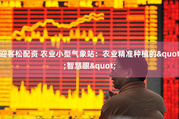 迎客松配资 农业小型气象站：农业精准种植的"智慧眼"